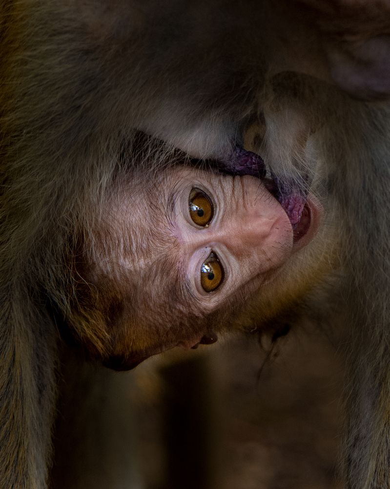 Photograph by Mohamed Raseem