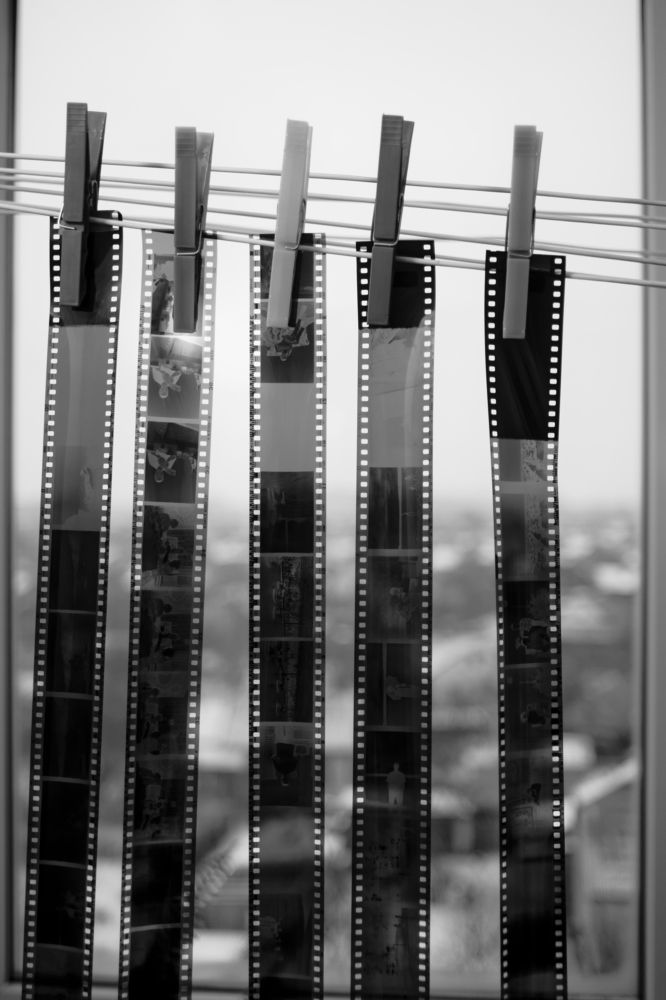 Photograph by Николай Савик