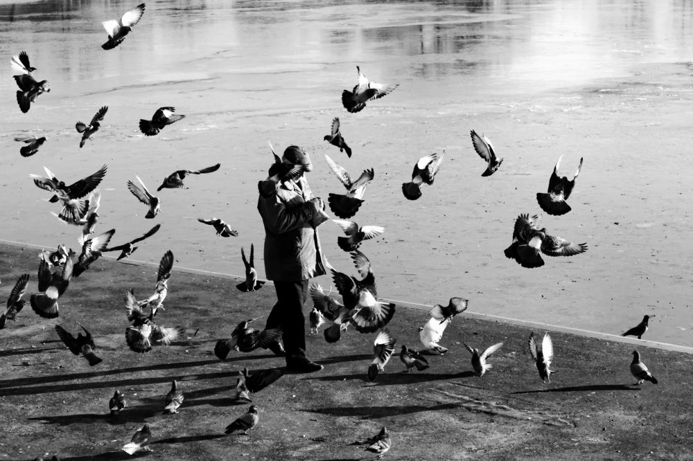 Photograph by Николай Савик