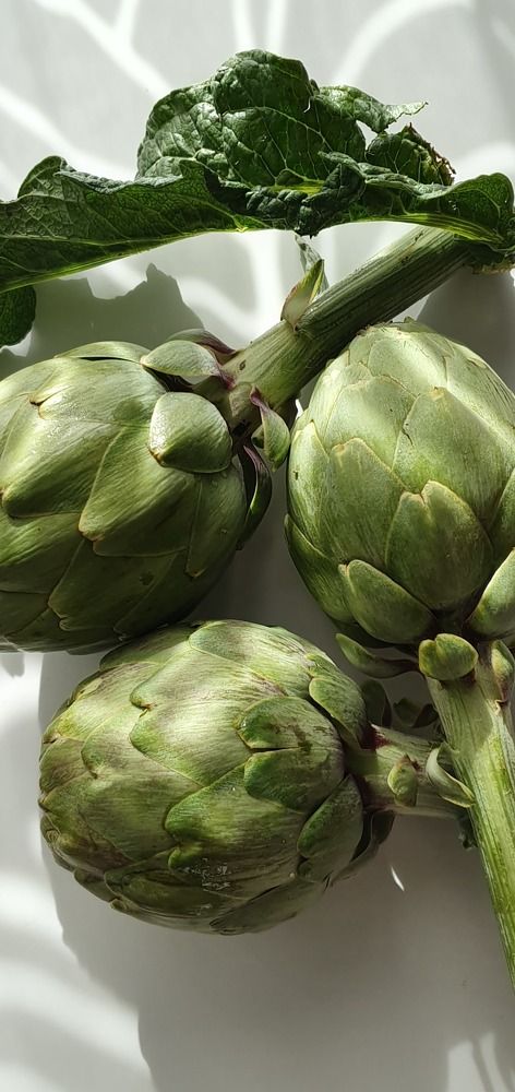 Фотография автора Ольга Катаргина