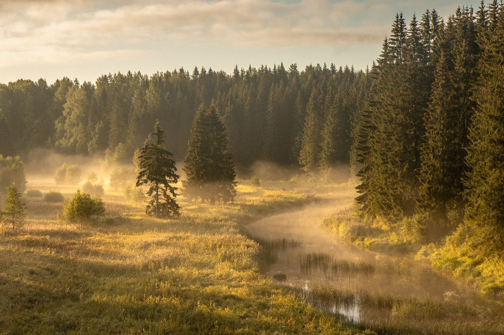 Photograph by Svetlana Dorokhova