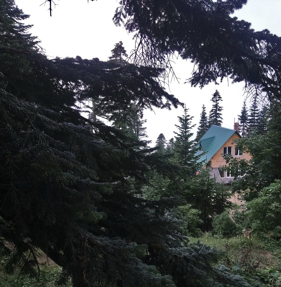 Photograph by Giorgi Shubitidze