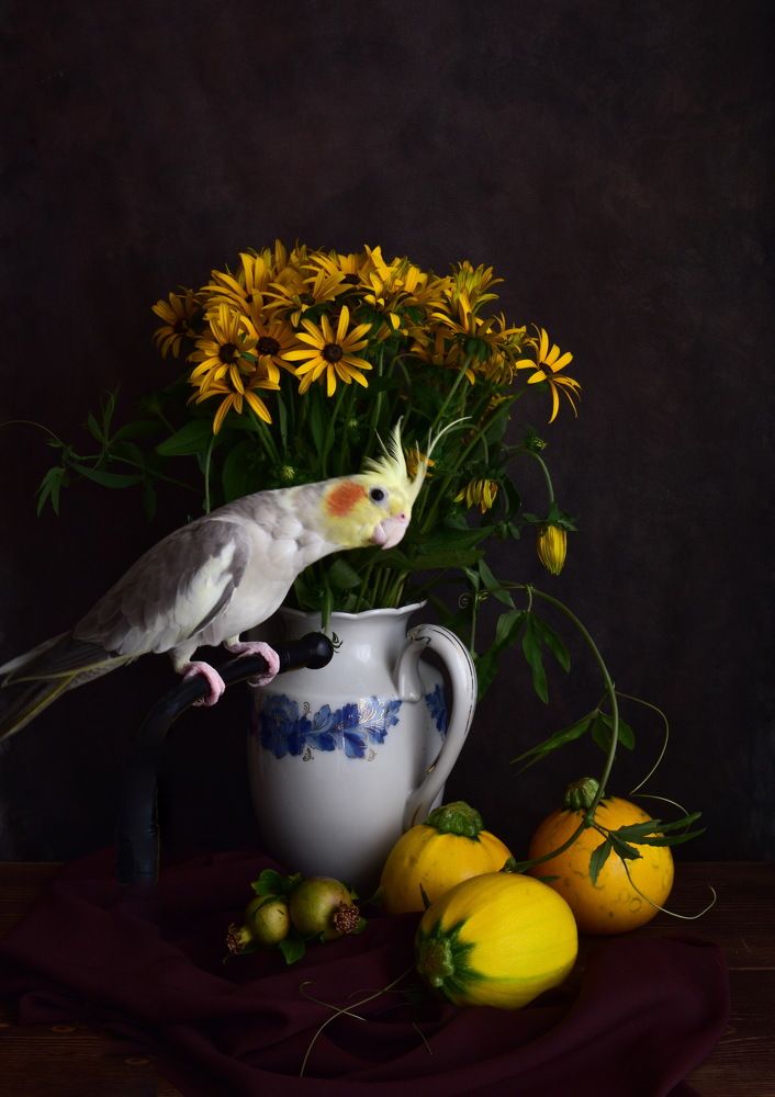 НАТЮРМОРТ С ПОПУГАЕМ