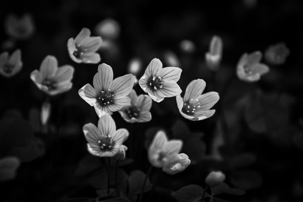 Photograph by Мария Колоскова