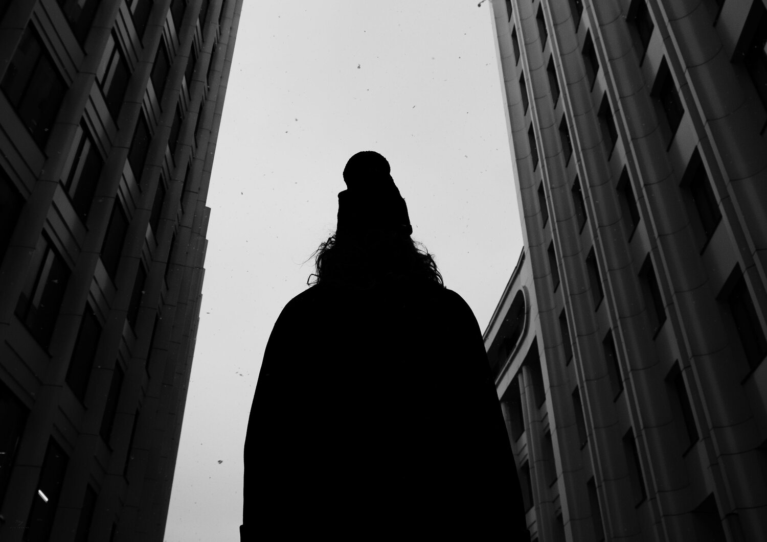 Photo #7318438