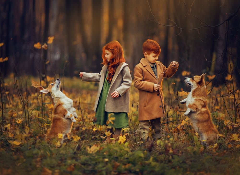 Photograph by Костюк Зоя