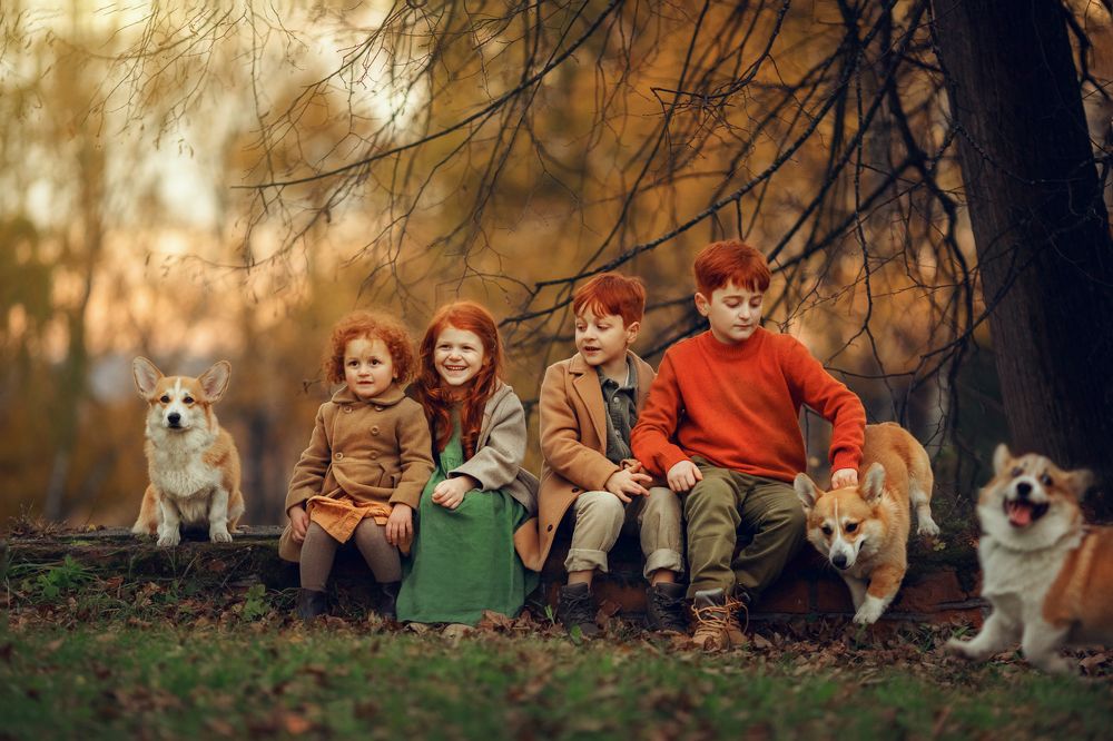 Photograph by Костюк Зоя