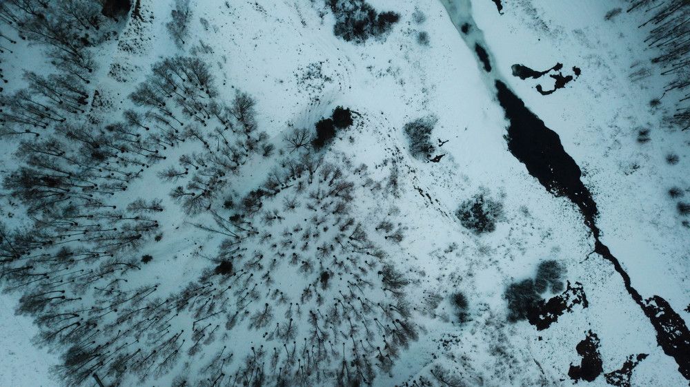 Photograph by max golikov