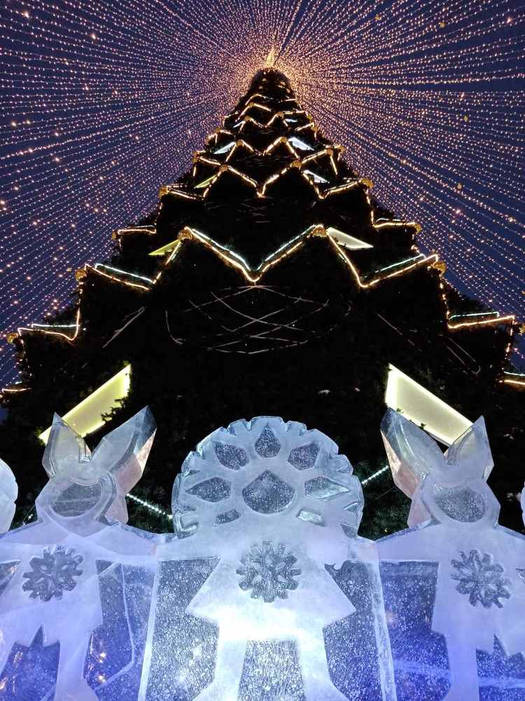 Photograph by Хамитова Светлана