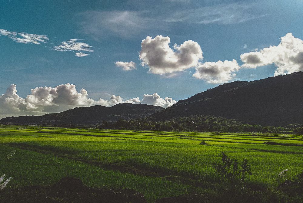 Фотография автора Karukola Puneeth