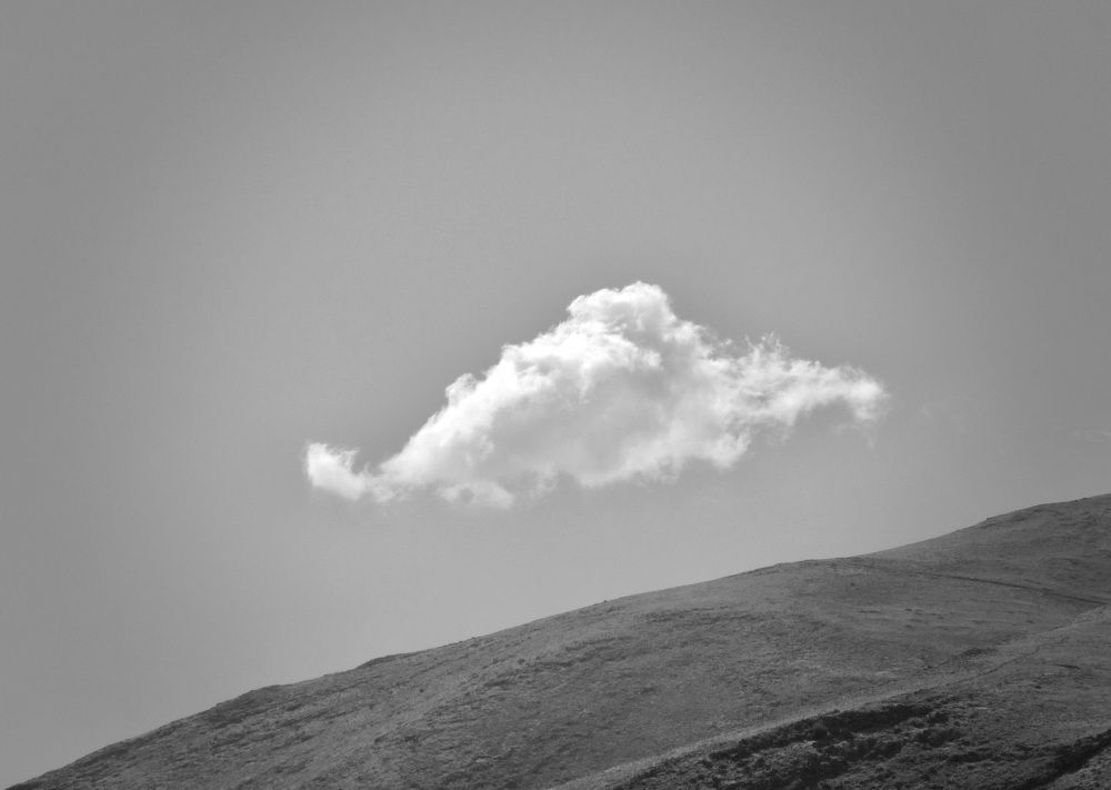 Photograph by shahin mansouri