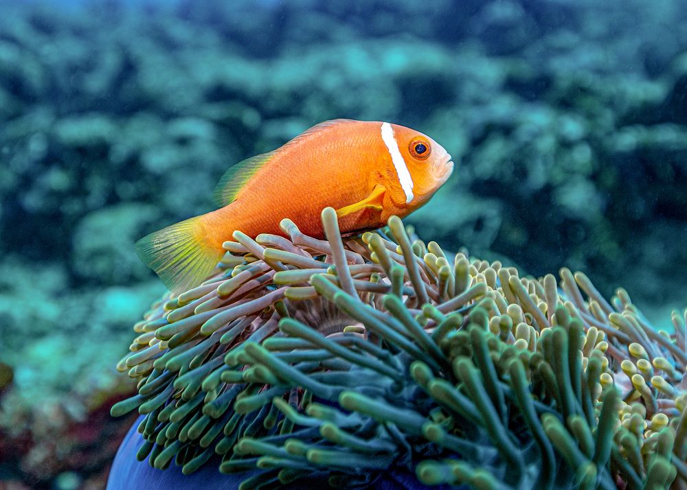 Photograph by Тетяна Тарасенко