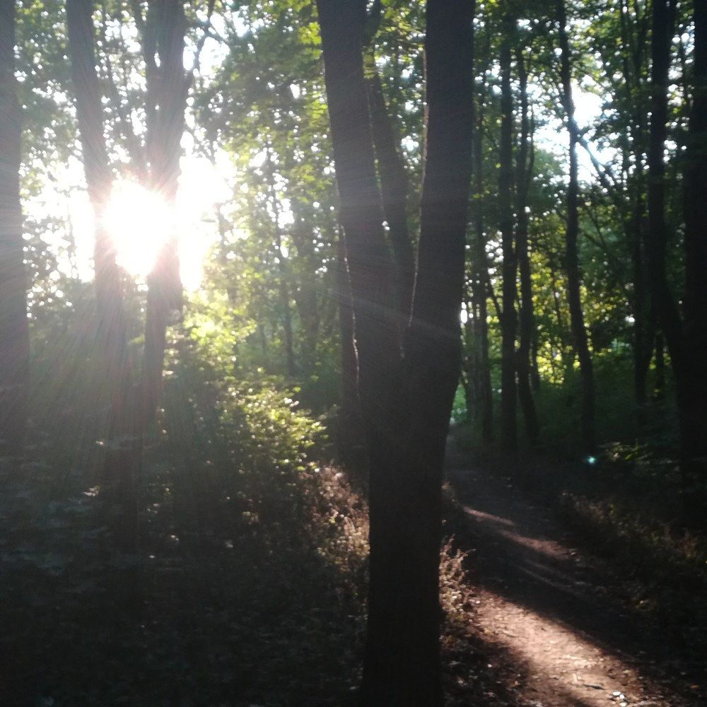 Photograph by Лузан Егор