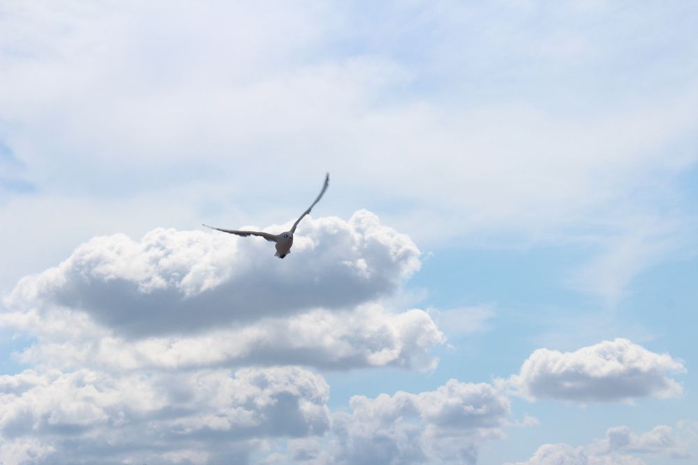 Photograph by Анна Кривинчук