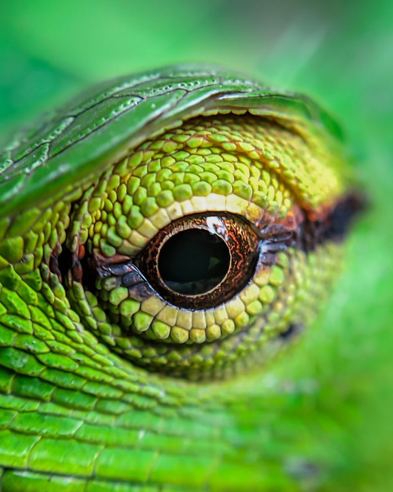 Photograph by Ashan Milinda