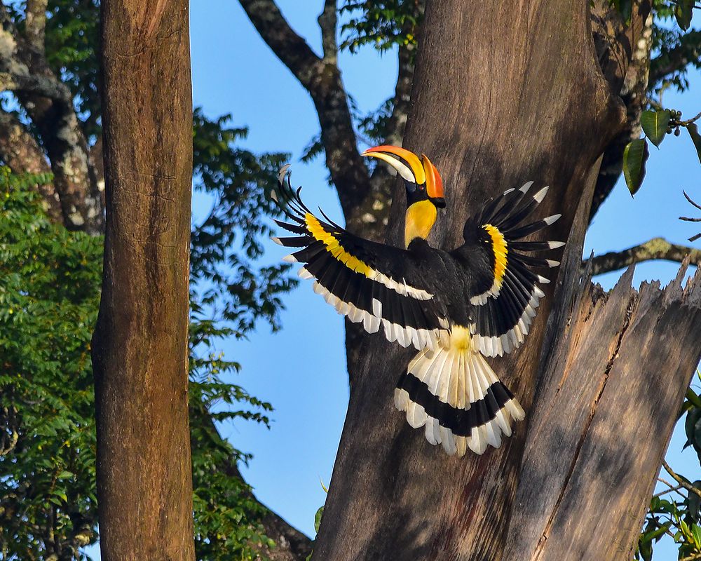 Photograph by Harikrishnan