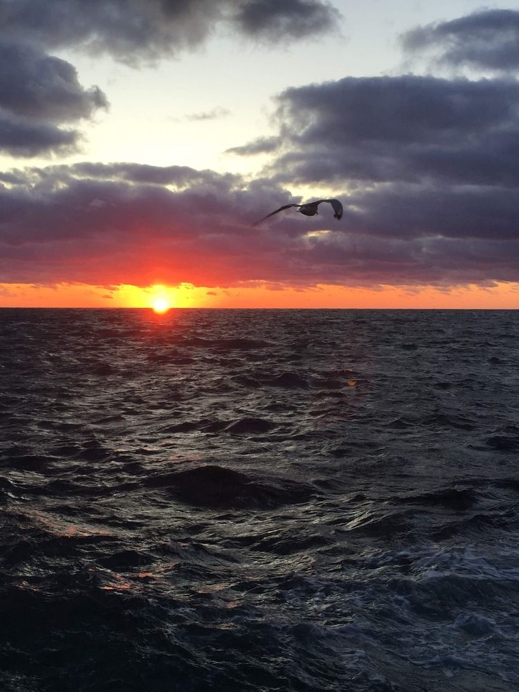 Photograph by Елена Клочкова