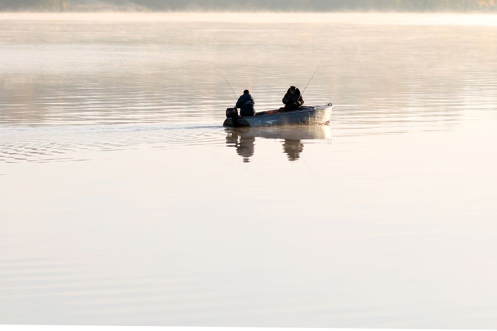 Photograph by Елена