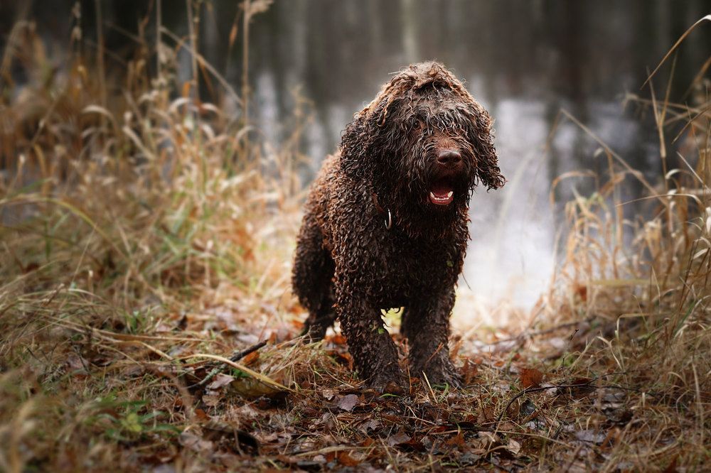 Фотография автора Юрий Бутаков