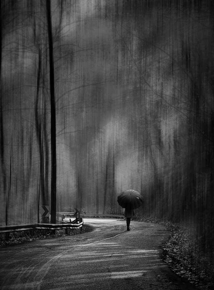 Photograph by Ali goreishi1