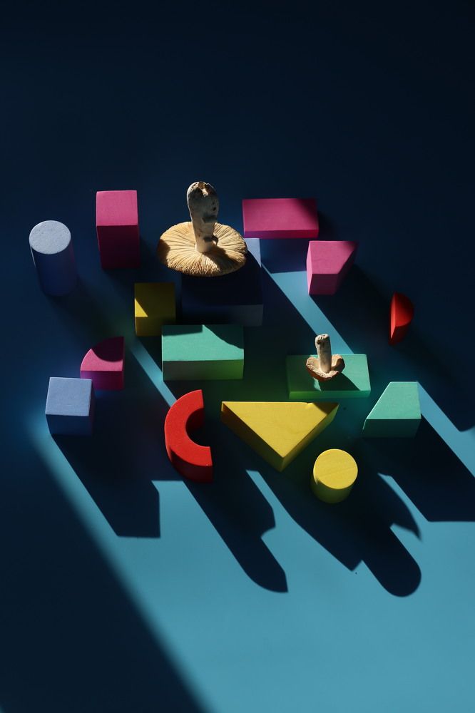 Photograph by Виктория