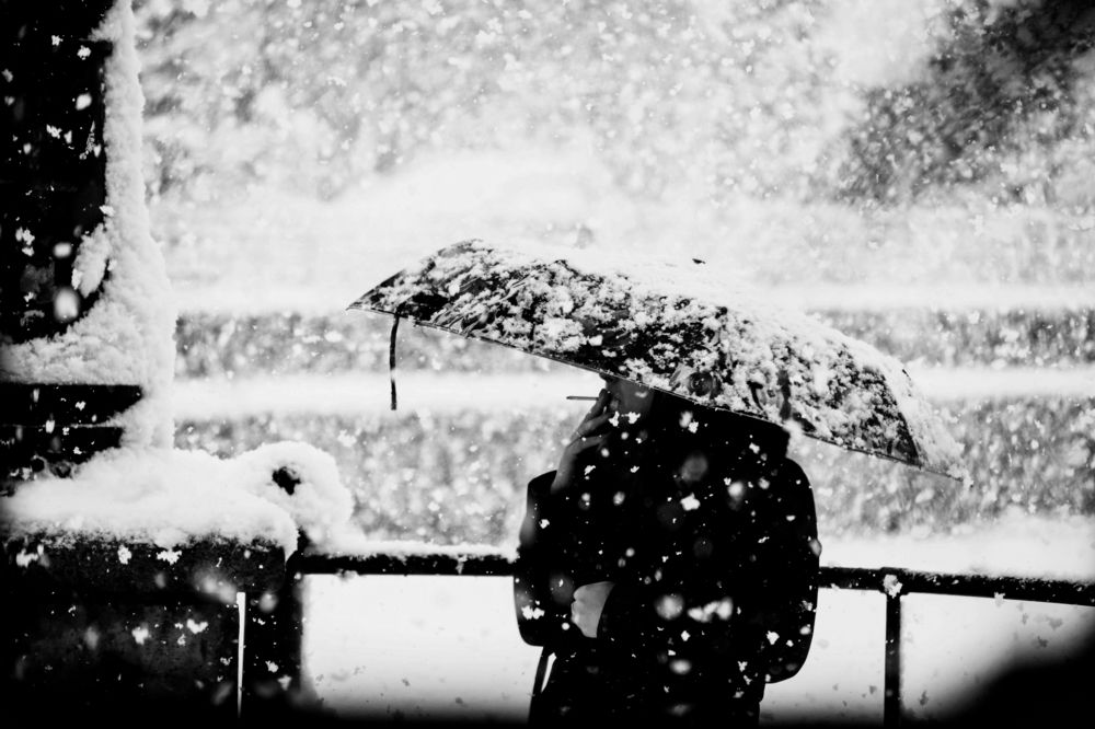 Photograph by Владимир Алейников