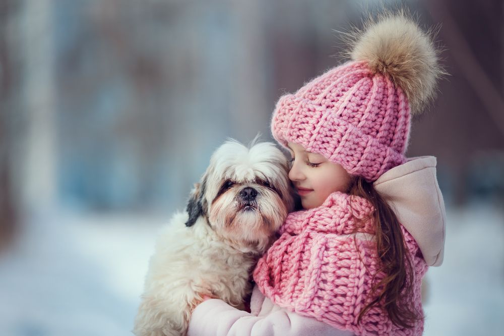 Photograph by Костюк Зоя