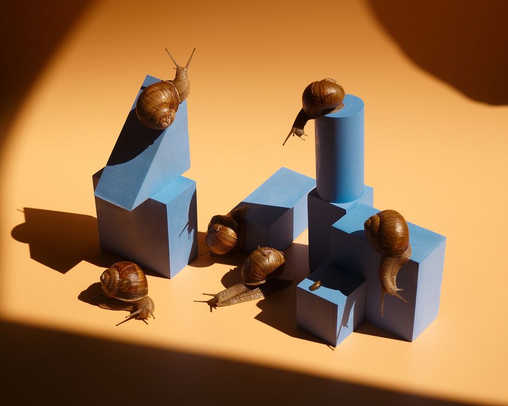 Photograph by Виктория