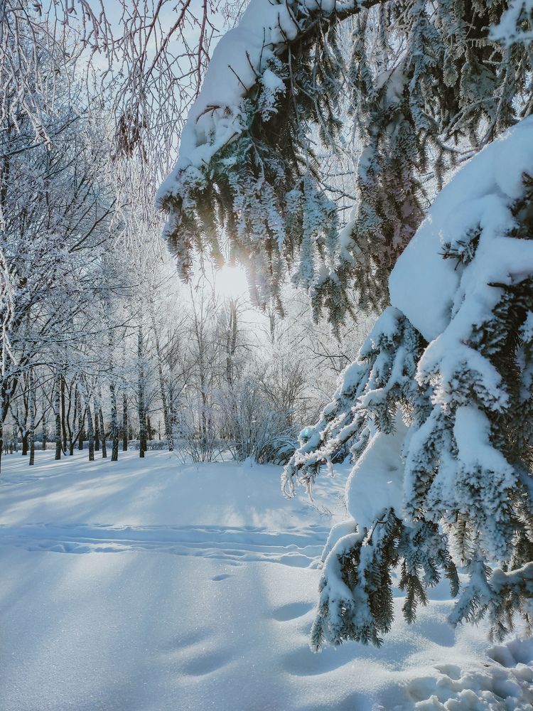 Photograph by Екатерина Васильева