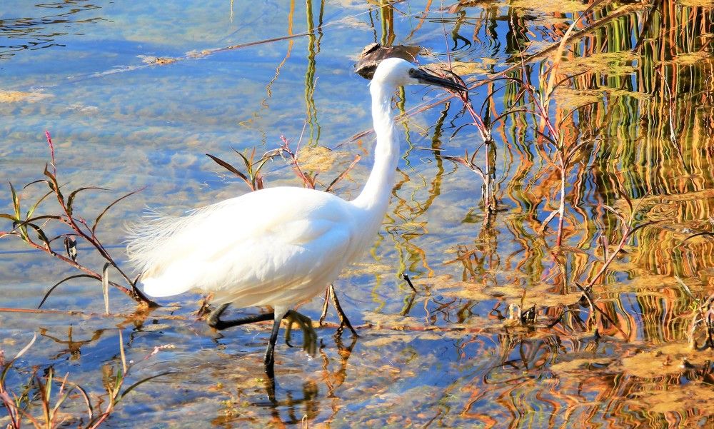 Photograph by Tamir Mor