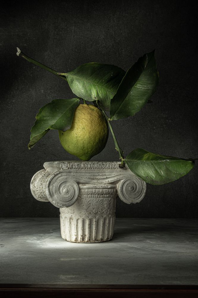 Photograph by Paul Ohringer