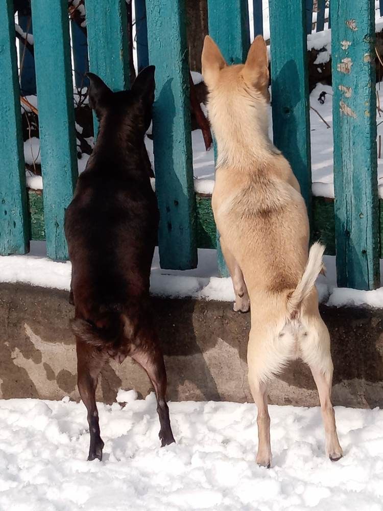 Photograph by Татьяна Пальчикова