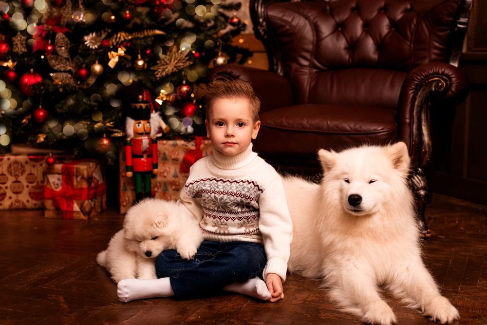 Photograph by Таня Алексеева