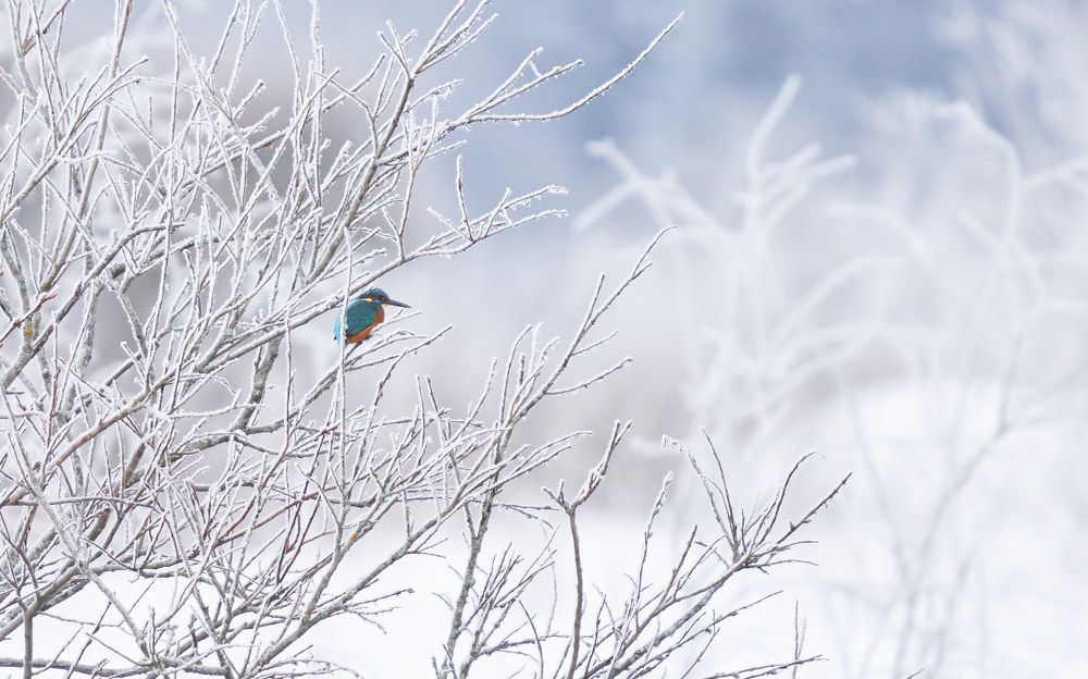 Photograph by Victor Krachkovsky