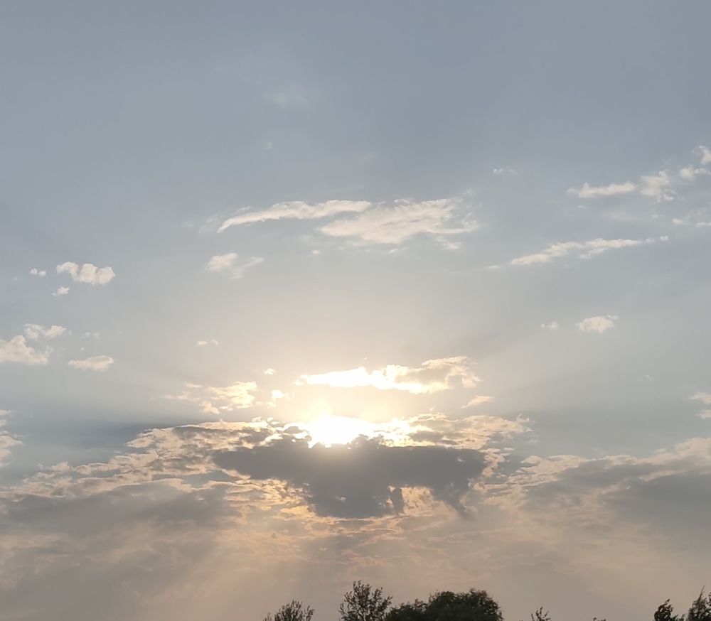 Солнце в небе.