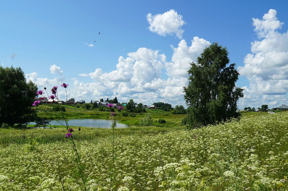 Photograph by Кан Галина