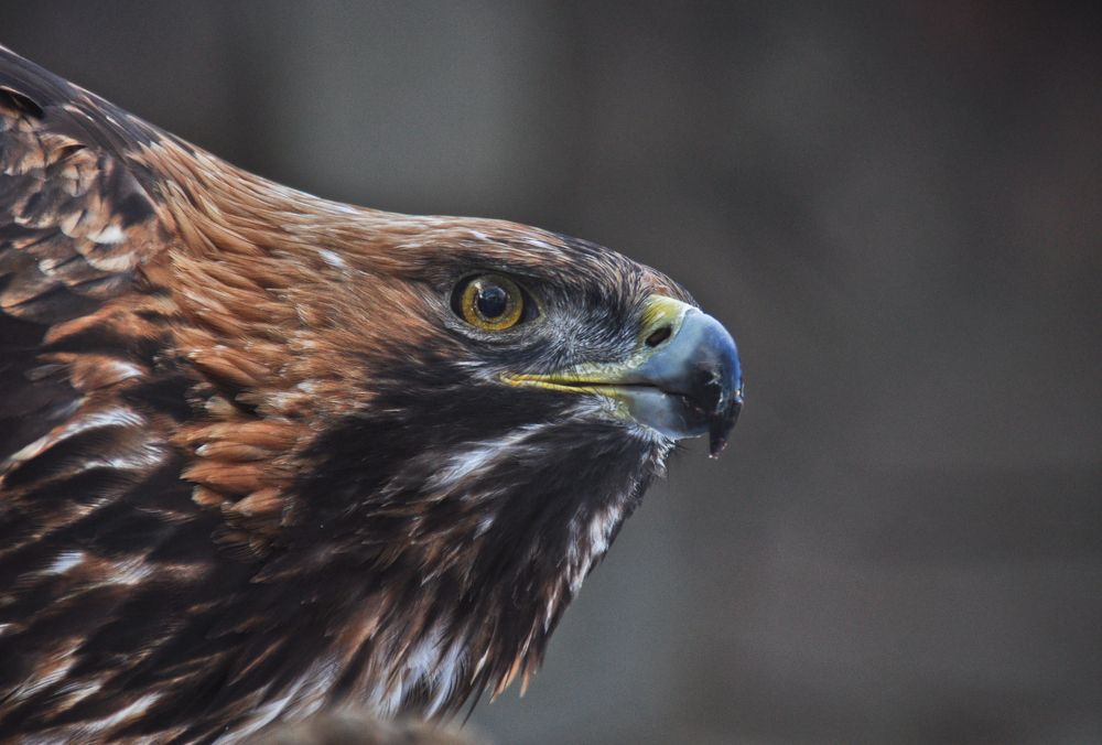 Photograph by Дмитрий Балатский