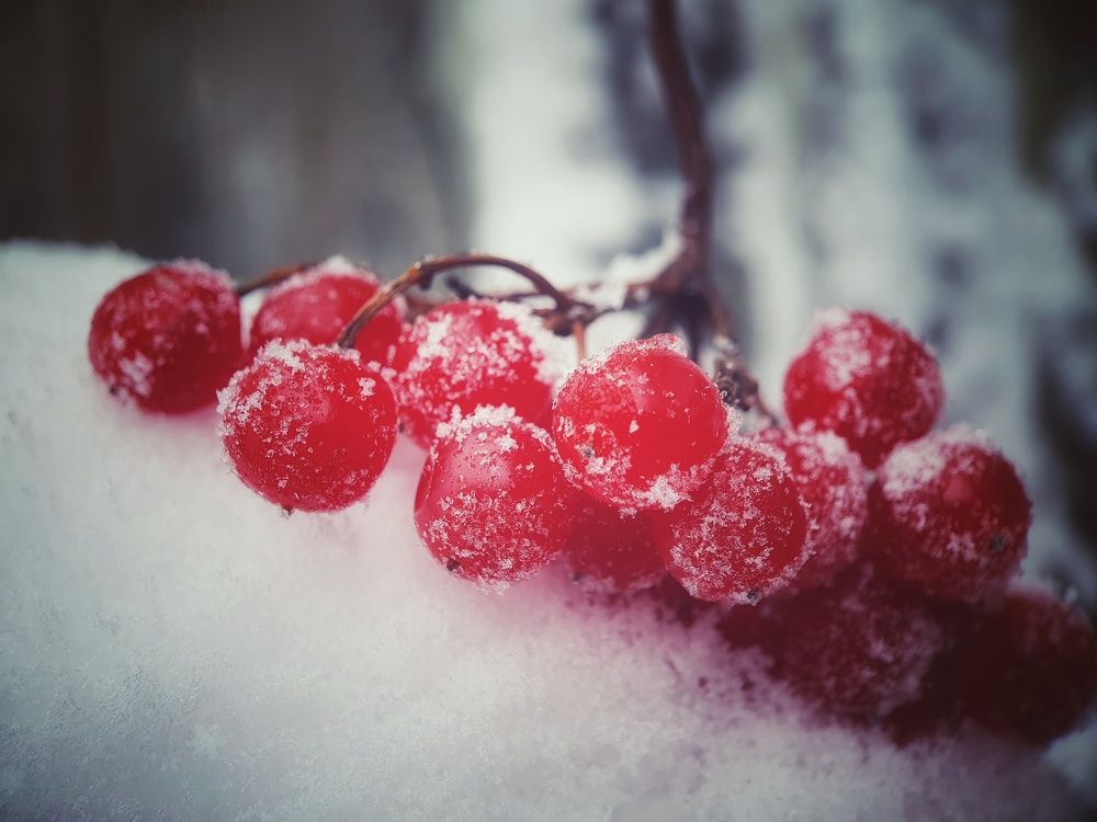 Фотография автора Юлия Таран