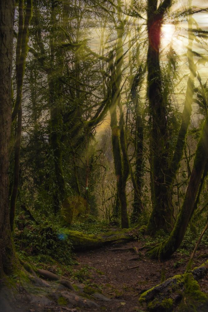 Photograph by Андрей Родионов