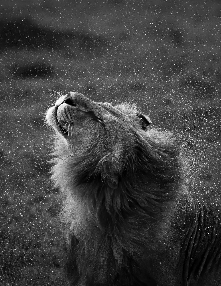 Photograph by Jayakumar MN