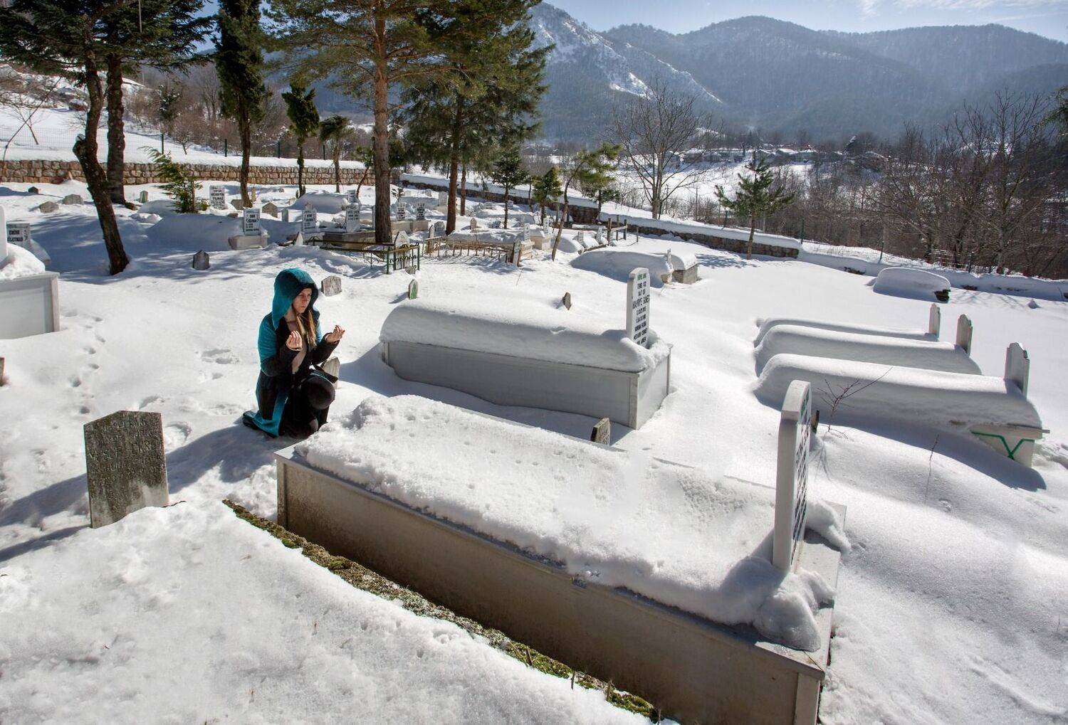 Фотография #7319163