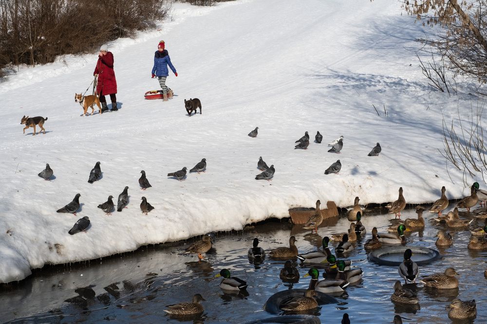 Photograph by Вероника Воронина