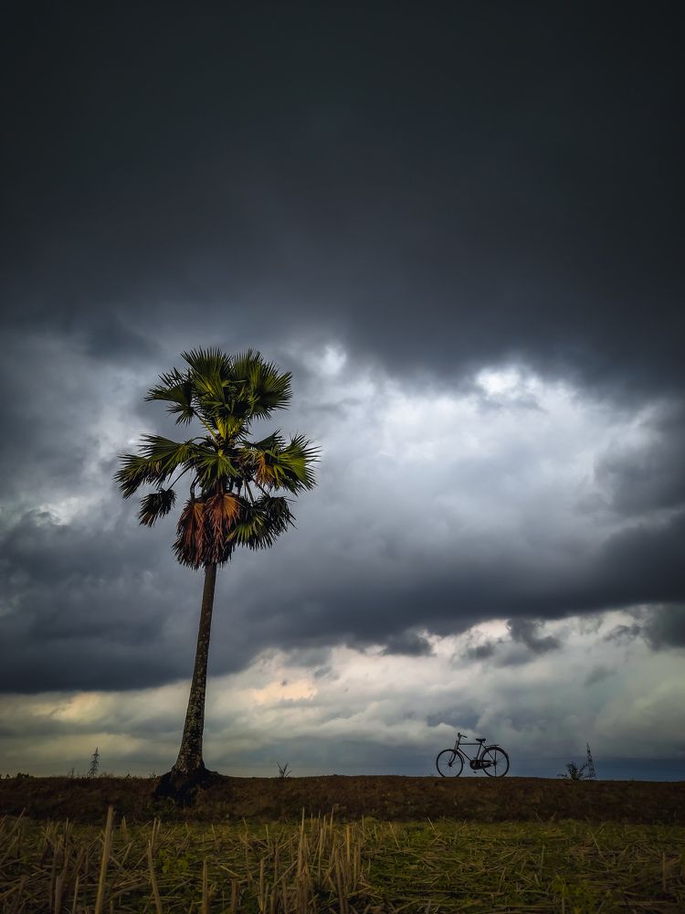 Photograph by Pabitra Ray