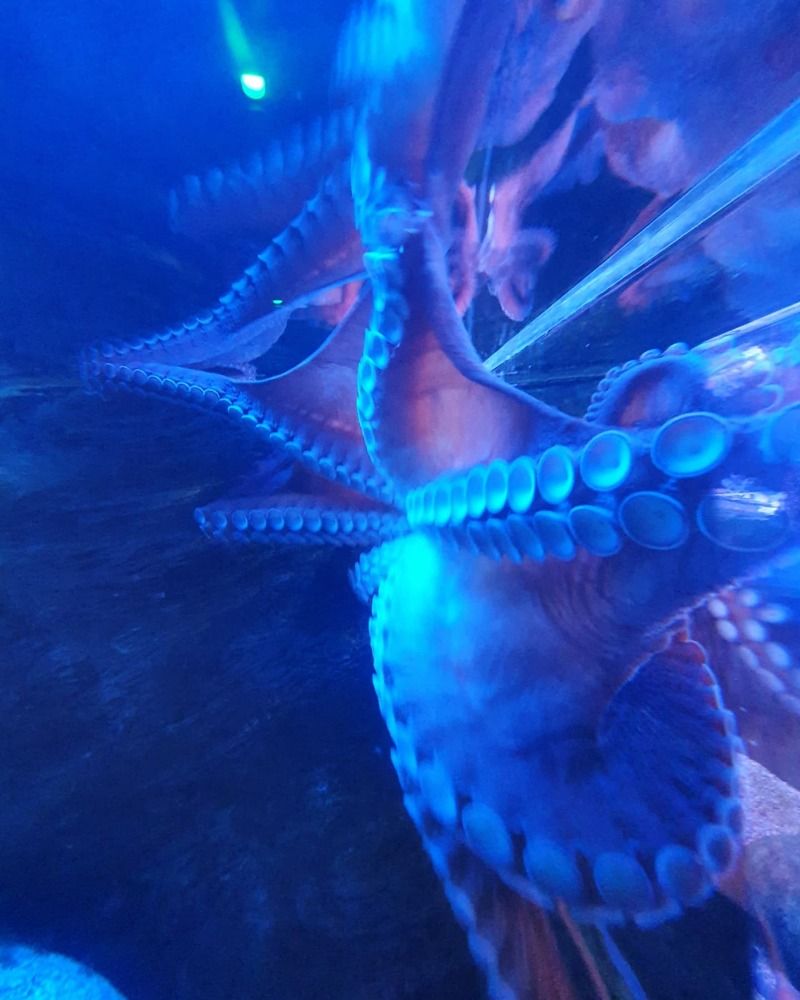 Photograph by Иван Соловьёв