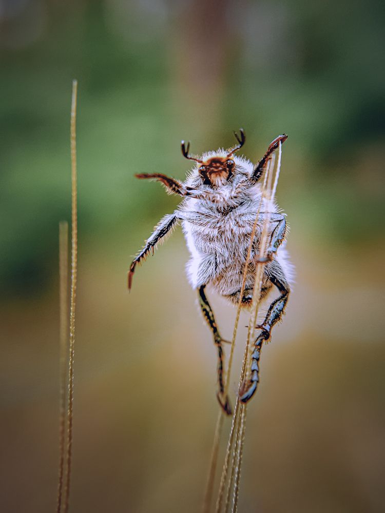 Photograph by Сергей Колос