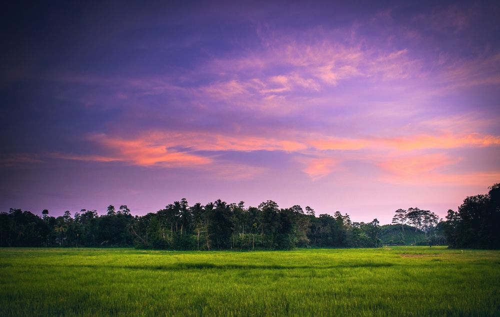 Photograph by Hewage K-vin R