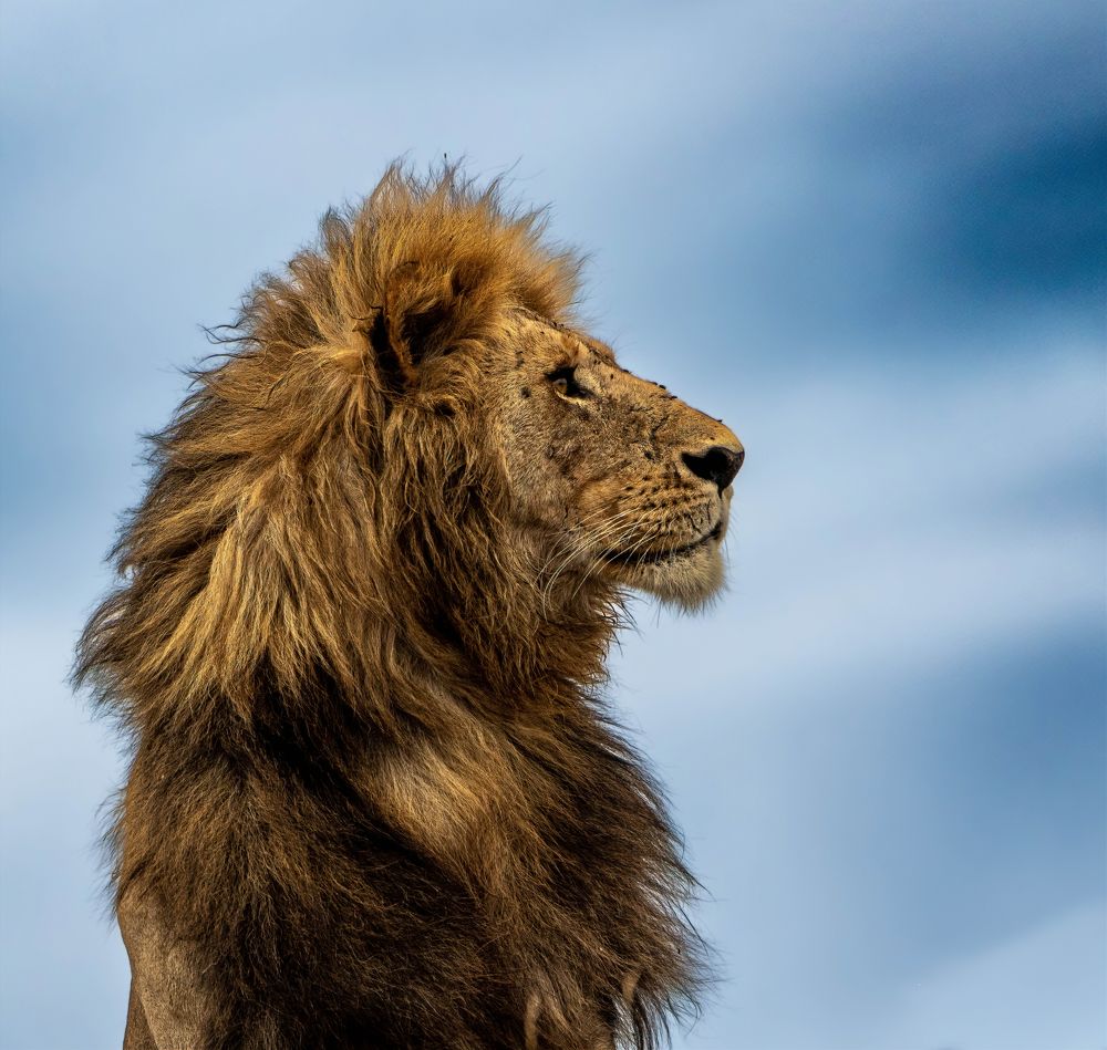 Фотография автора Rajharsha Narayanswamy