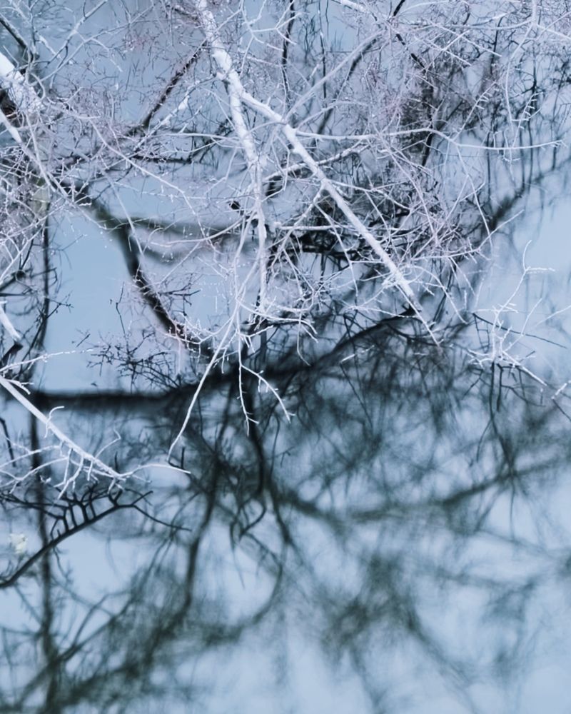 Photograph by Мария