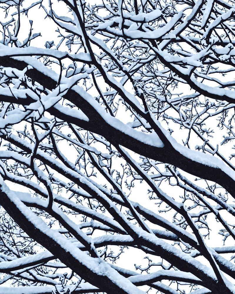 Photograph by Мария