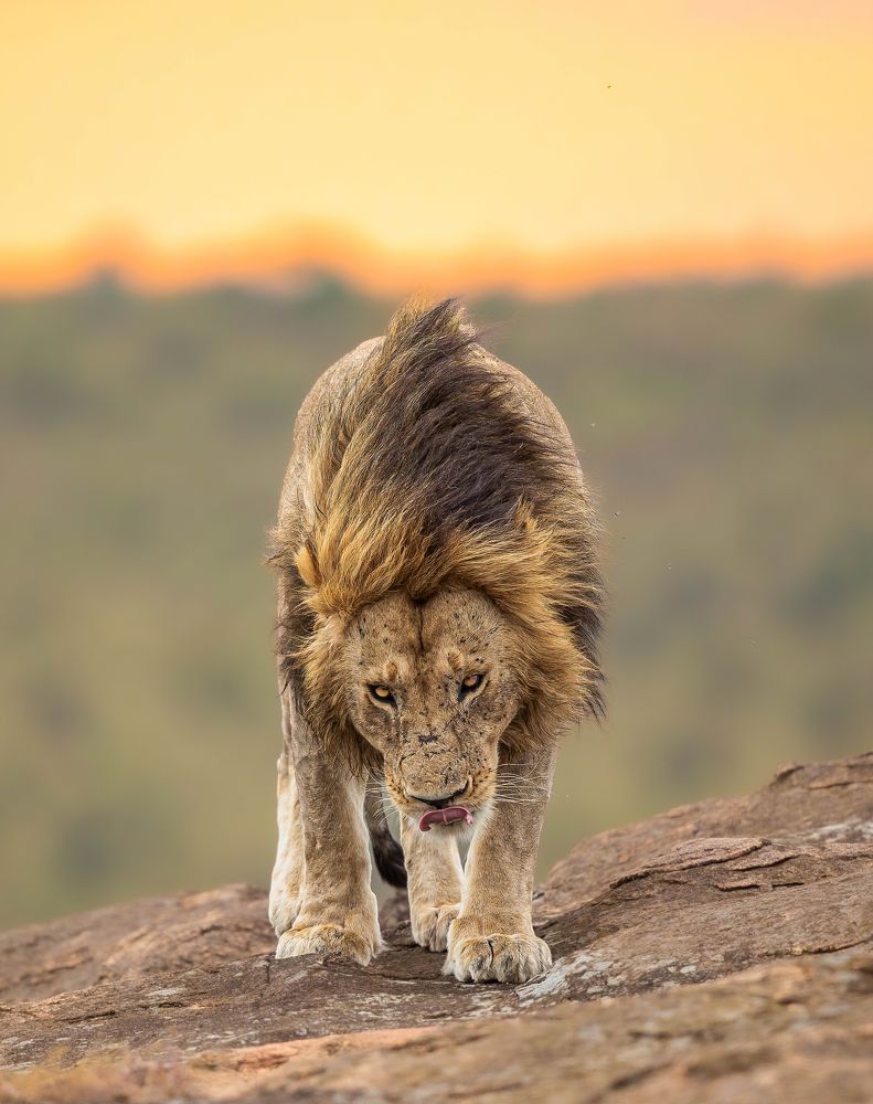 Фотография автора Rajharsha Narayanswamy